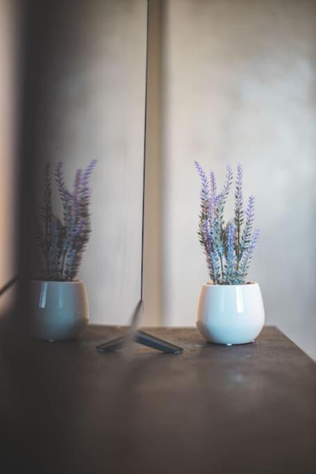 La Corte Apartment Monza - Milano + Free Wi-Fi Лисоне Екстериор снимка